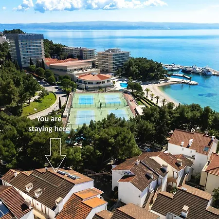 Oasis Of Peace - Lavica Premium